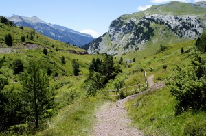 Mountain Trail