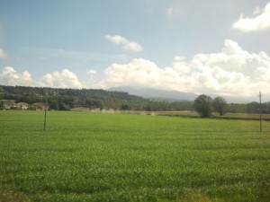 View from train