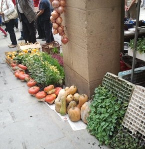 Gourds