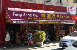 FongSengCo