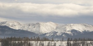 Woods and mountains