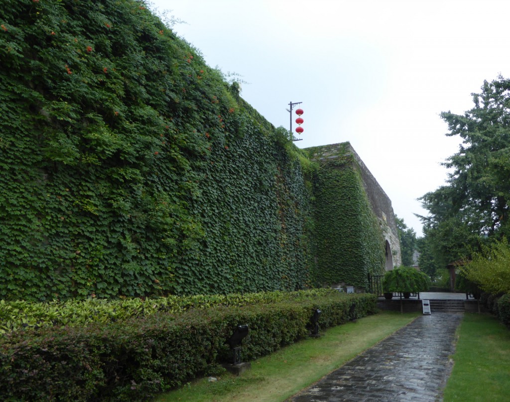 Ivy covered wall